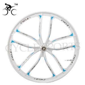 Manufacturing Companies for Alloy Material Wheels -
 SK MTB magnesium alloy rim 26 inch 10 blades – CYCLE